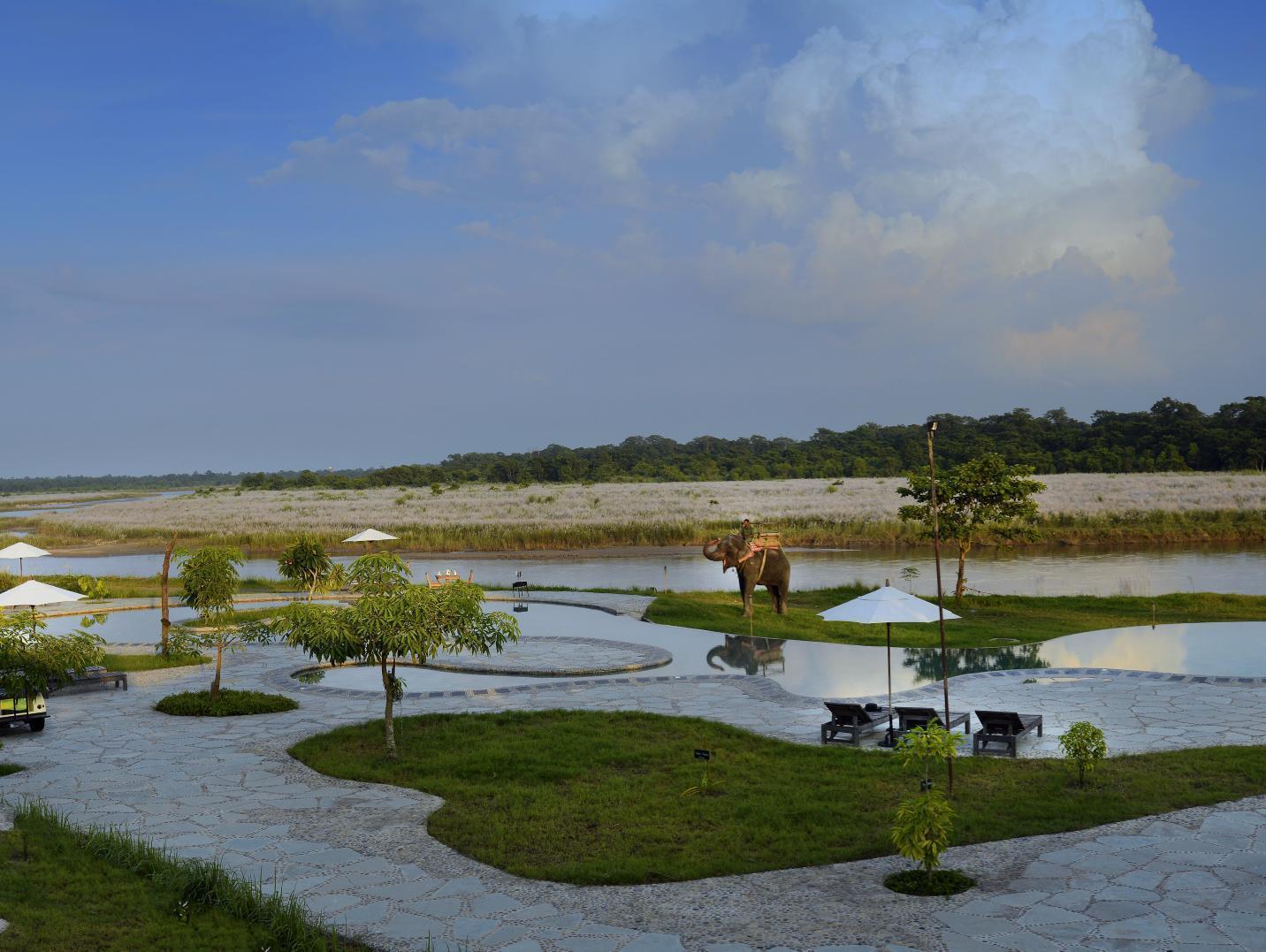 Barahi Jungle Lodge Meghauli Kültér fotó