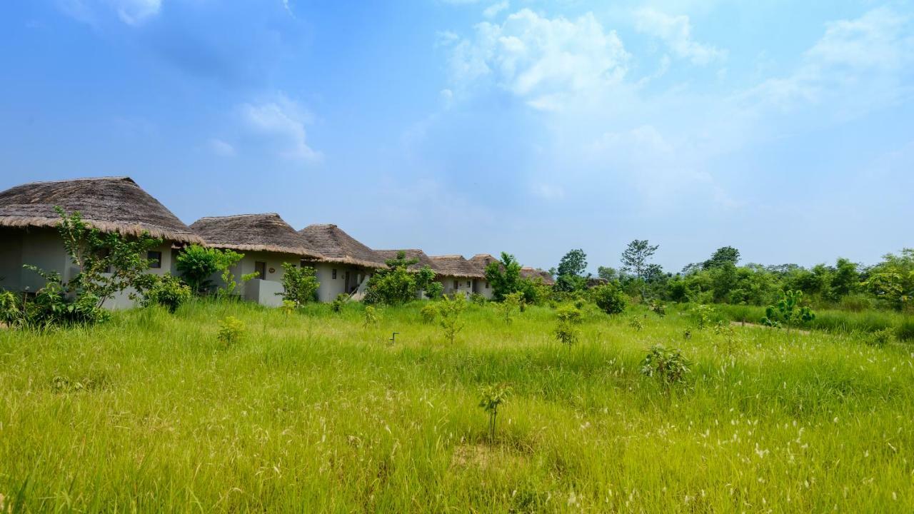Barahi Jungle Lodge Meghauli Kültér fotó